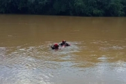 Homem  levado por correnteza e morre afogado em rio no Oeste de SC