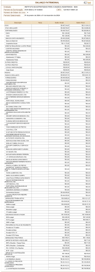 Balan�o Patrimonial IESA