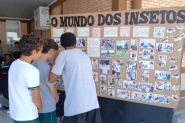 Escolas municipais de Gaspar exploram cincia e tecnologia em sala de aula