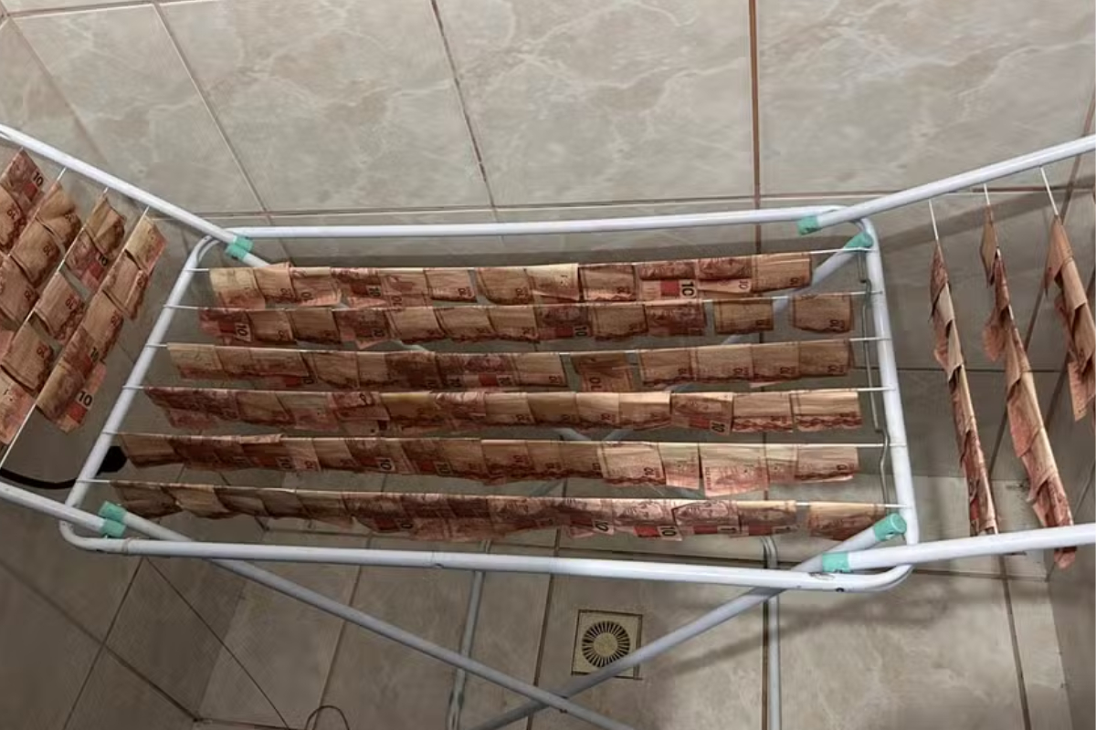 Polícia encontra cédulas secando em varal durante operação contra lavagem de dinheiro em SC