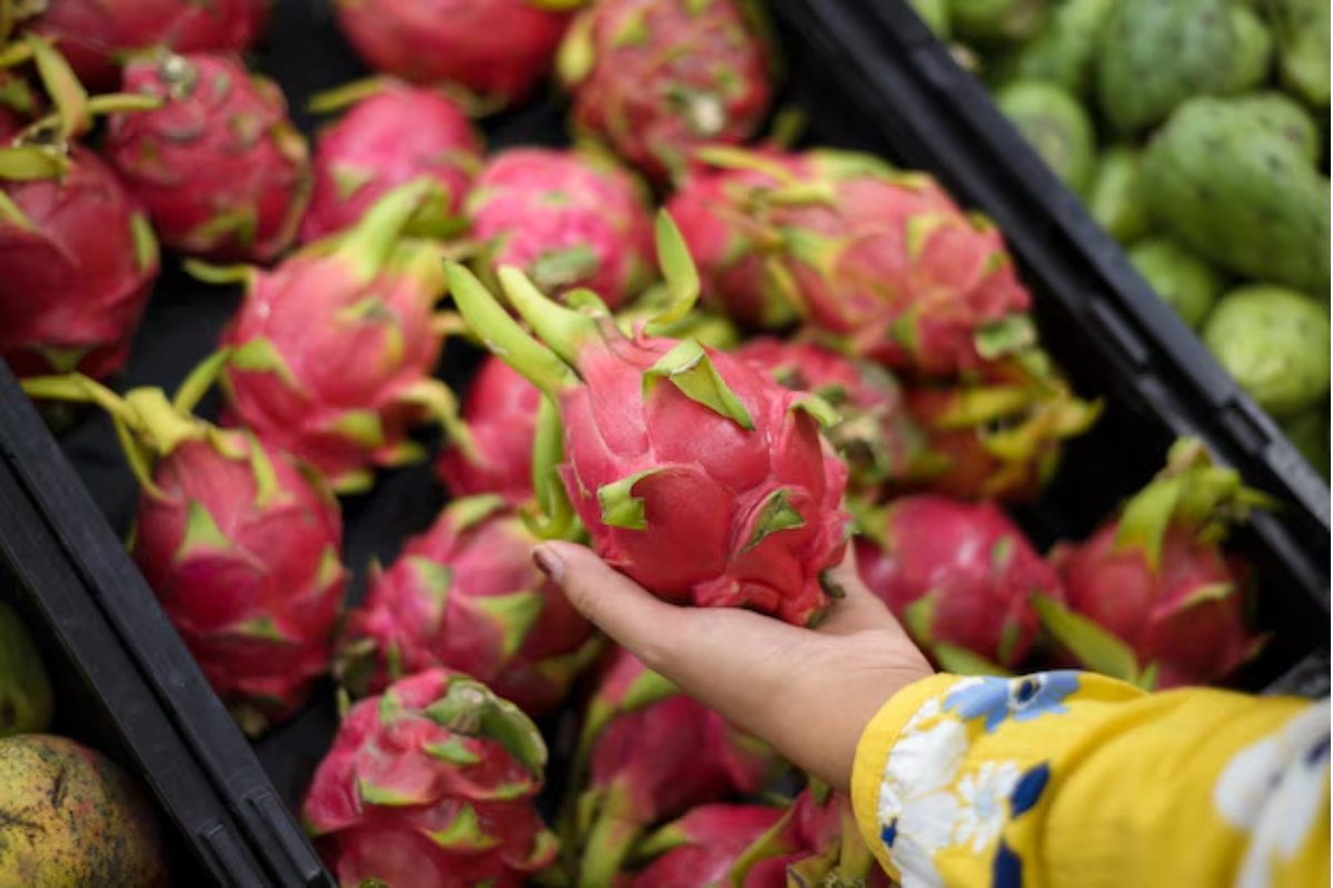 Inscrições para Encontro de Fruticultura em Gaspar encerram nesta sexta