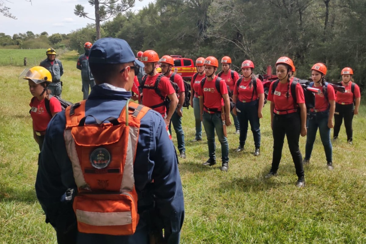 Saiba como participar do programa 'Bombeiro Comunitário' do CBMSC