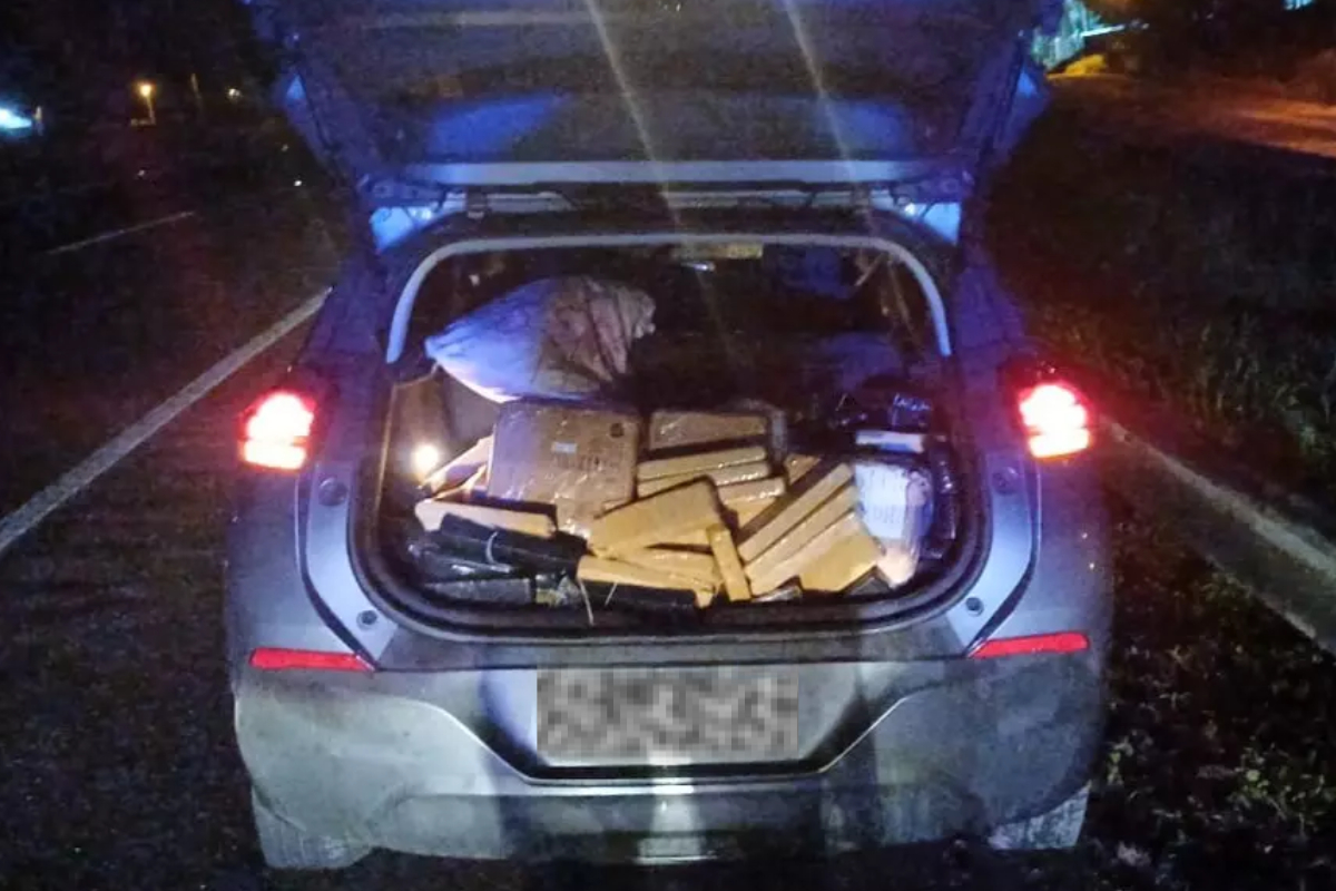 Dias antes de completar 18 anos, adolescente tenta trazer 300 kg de maconha para SC