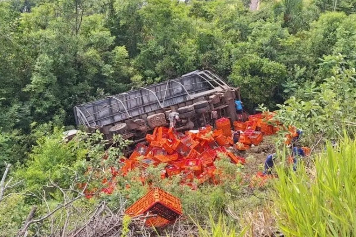 Motorista sofre mal s�bito, cai de ribanceira e tem caminh�o saqueado em Chapec�
