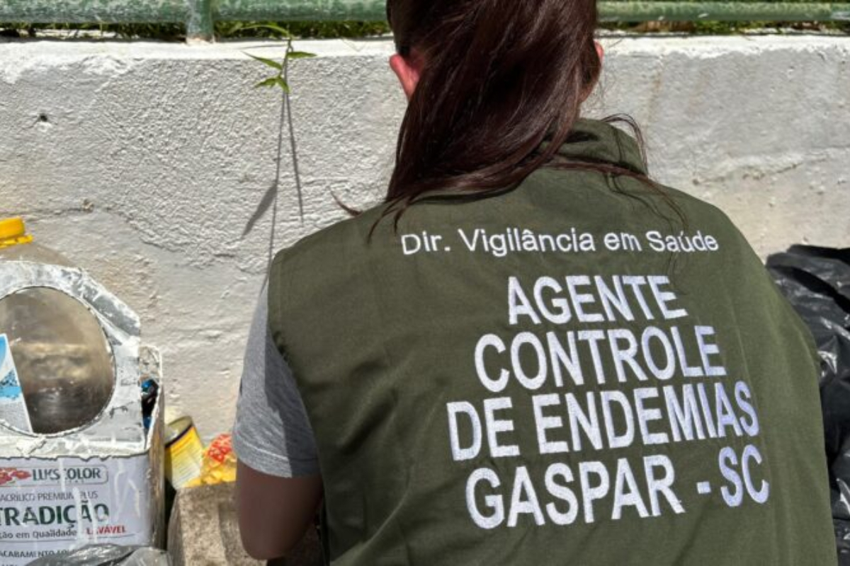 Agentes de endemias visitam quase 2.000 im�veis para fazer levantamento da dengue em Gaspar