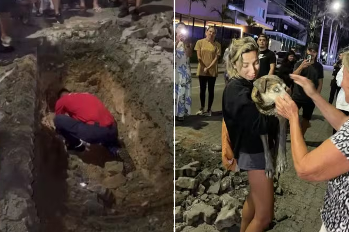 Cachorro idoso e cego � encontrado preso dentro de tubula��o subterr�nea em Itaja�