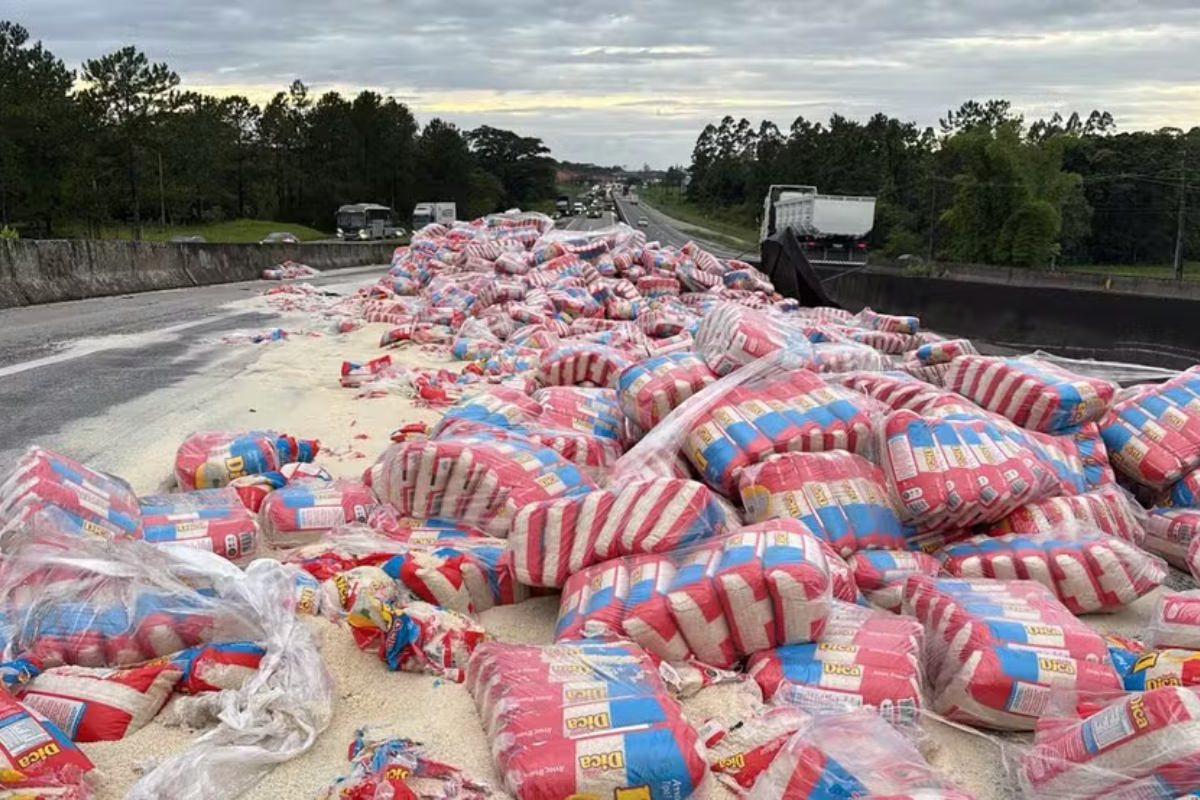 Tombamento de carga provoca interdi��o total e filas quilom�tricas na BR-101, em Araquari