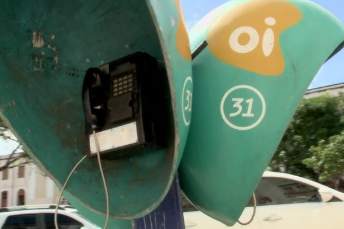 Orelh�es come�am a ser retirados das ruas de todo o Brasil; Gaspar possui dois e Ilhota apenas um