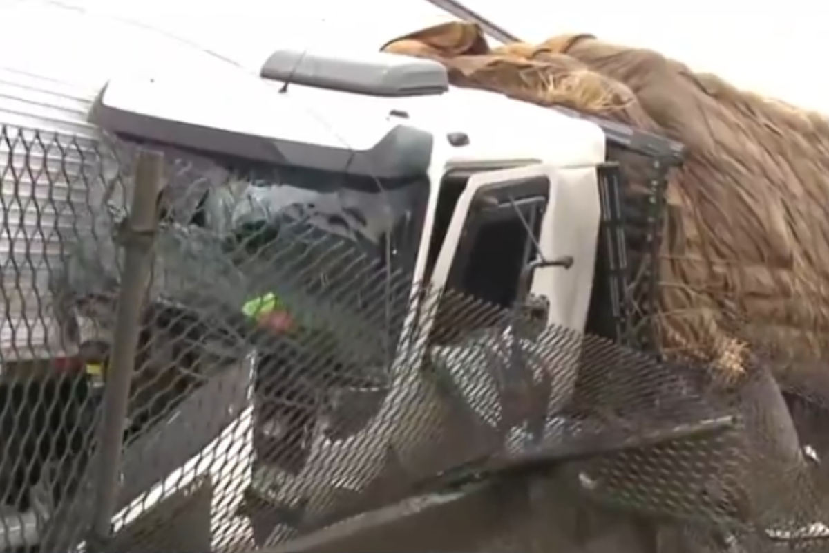 Caminh�o com quase 20 toneladas de melancias � esmagado por carreta ap�s motorista cochilar na BR-101, em SC