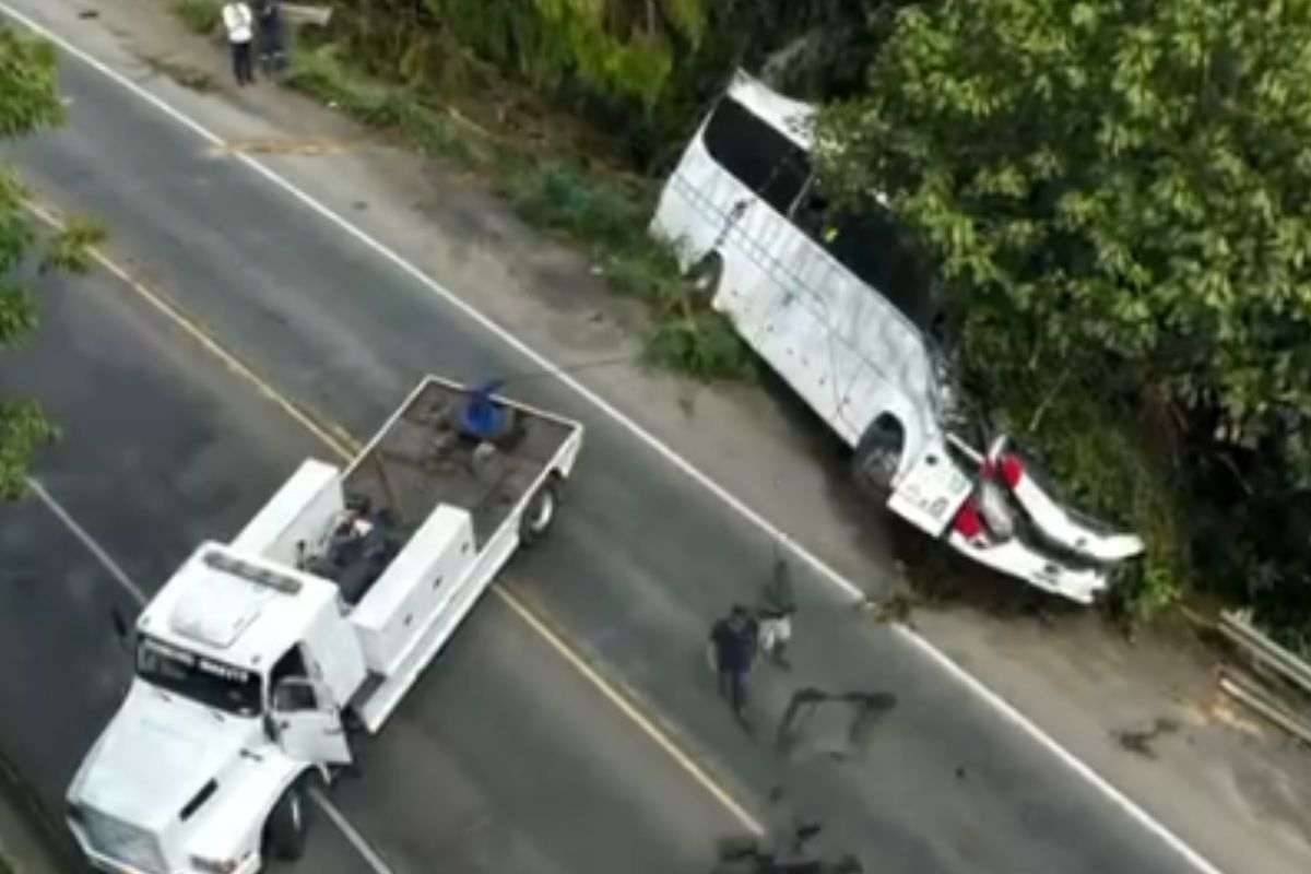 V�deo mostra �nibus que caiu em ribanceira destru�do: gasparense est� entre as v�timas fatais