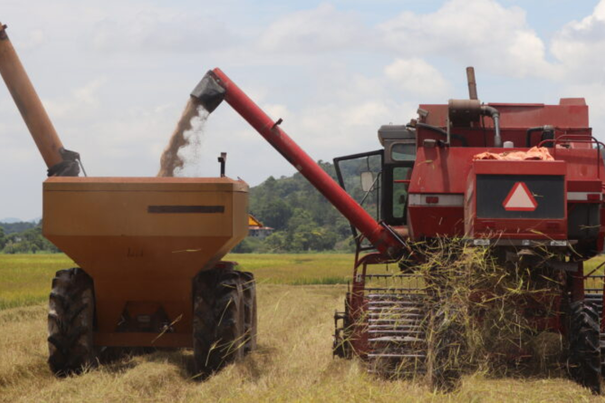 Epagri e Prefeitura promovem reuni�o t�cnica sobre o cultivo de arroz com produtores gasparenses