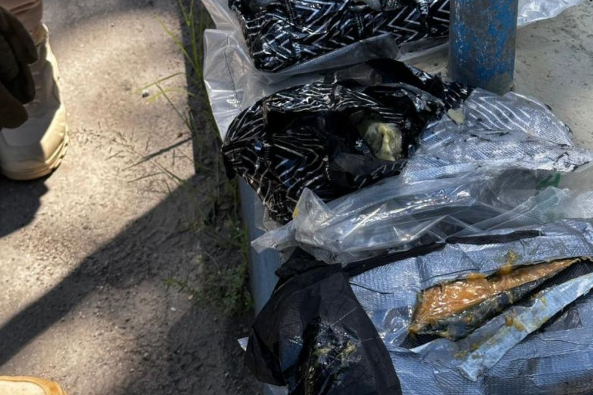 Motorista � preso com carga de 'supermaconha' escondida em porta de carro