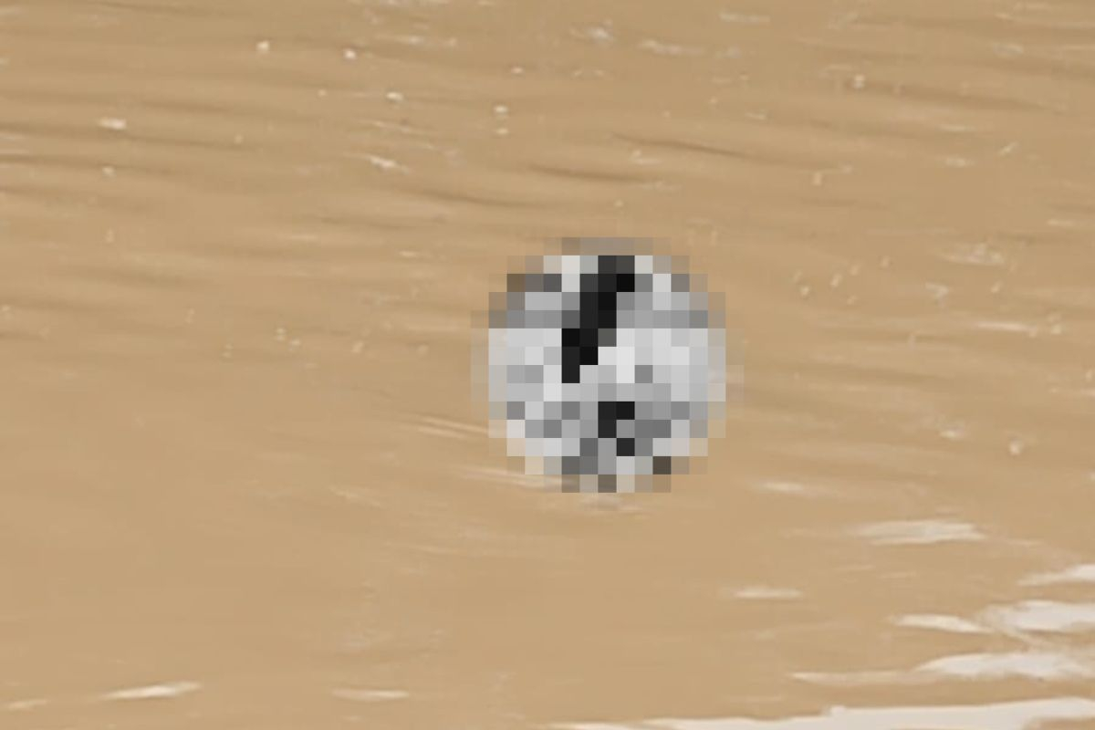 Poss�vel corpo � encontrado no rio Itaja�-A�u, em Gaspar