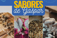 Prefeitura de Gaspar lan�a livreto com receitas que valorizam a gastronomia local