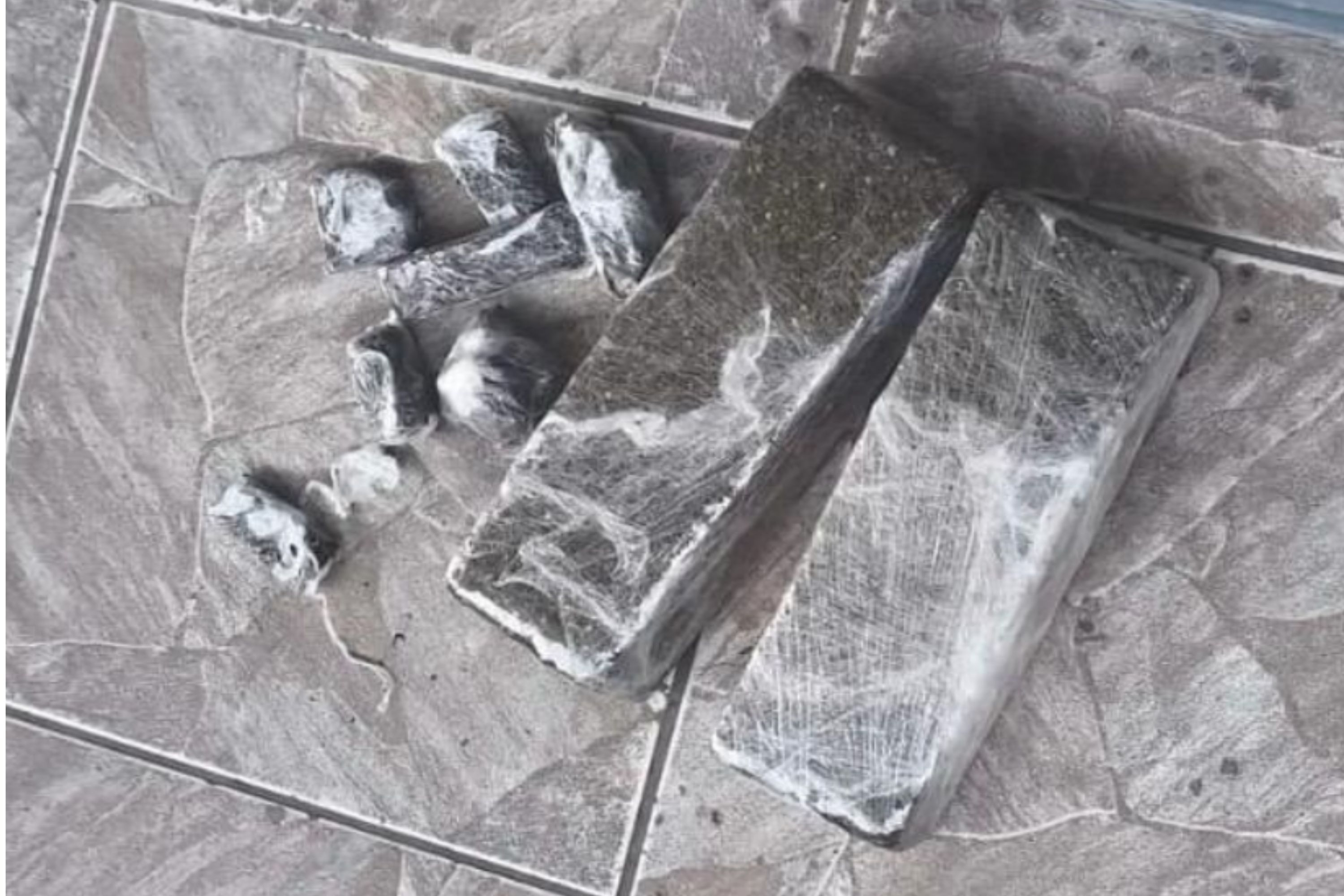 Jovem tenta jogar maconha pela janela e no lixeiro, mas acaba preso no Coloninha, em Gaspar