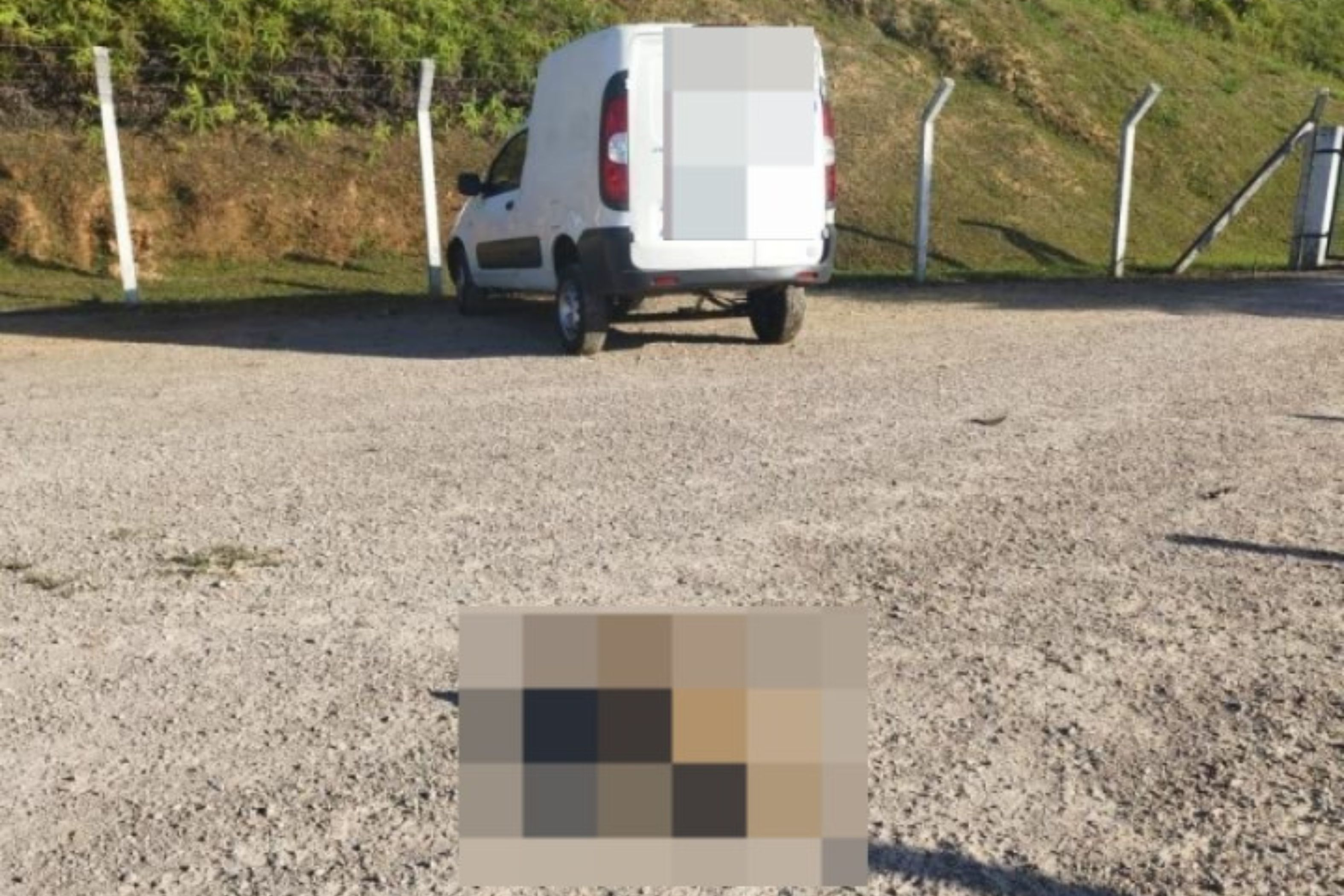 Motorista bate carro em cerca e mata cachorro em Gaspar