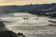 Serra Catarinense amanhece congelada a -3�C