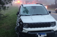 Trag�dia: irm�os de 7 e 14 anos morrem atropelados na BR-470, no Alto Vale