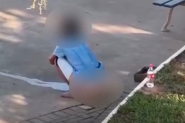 Mulher � flagrada defecando em pra�a no Centro de Brusque