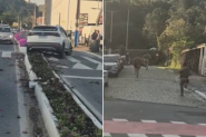 Bandido em condicional atropela mulher durante fuga com carro roubado em BC