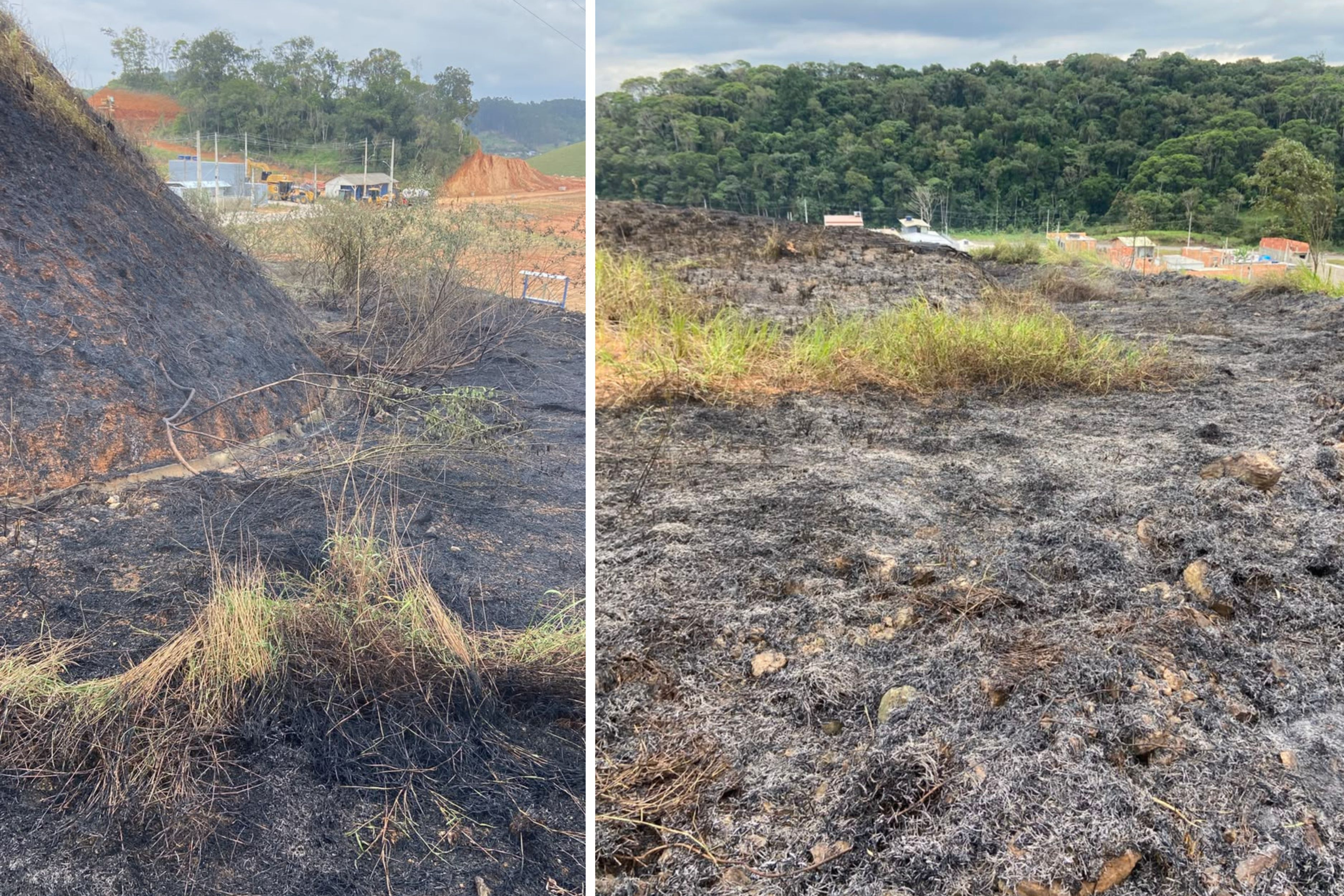 Bombeiros usam chibatas e 4 mil litros de �gua para combater inc�ndio em vegeta��o em morro de Ilhota