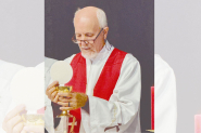 Frei Aroldo Kohler celebra 50 anos de sacerd�cio com missa no bairro Macuco, em Gaspar