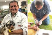  Medicina Veterin�ria: uma profiss�o que cuida dos animais, das pessoas e da vida