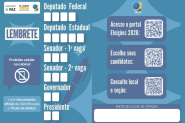 Seis votos: entenda o que o eleitor vai escolher neste domingo