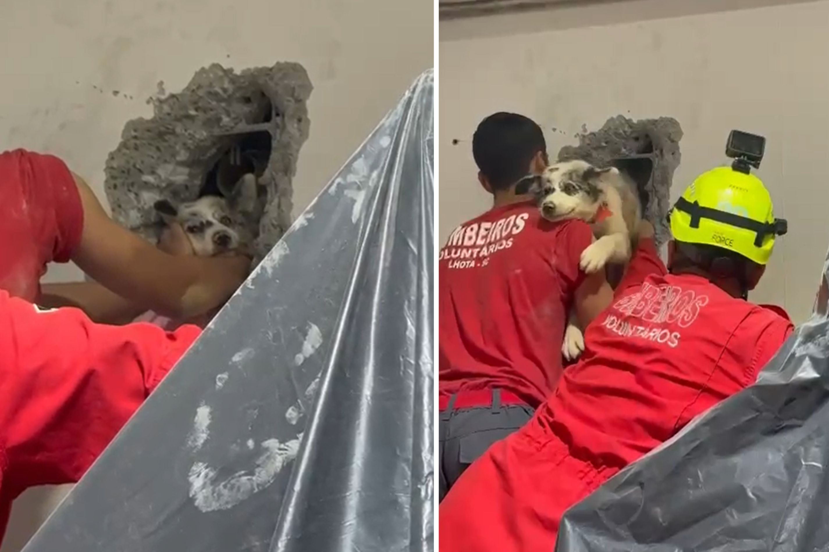 Bombeiros quebram parede e resgatam c�o preso entre galp�es em Ilhota
