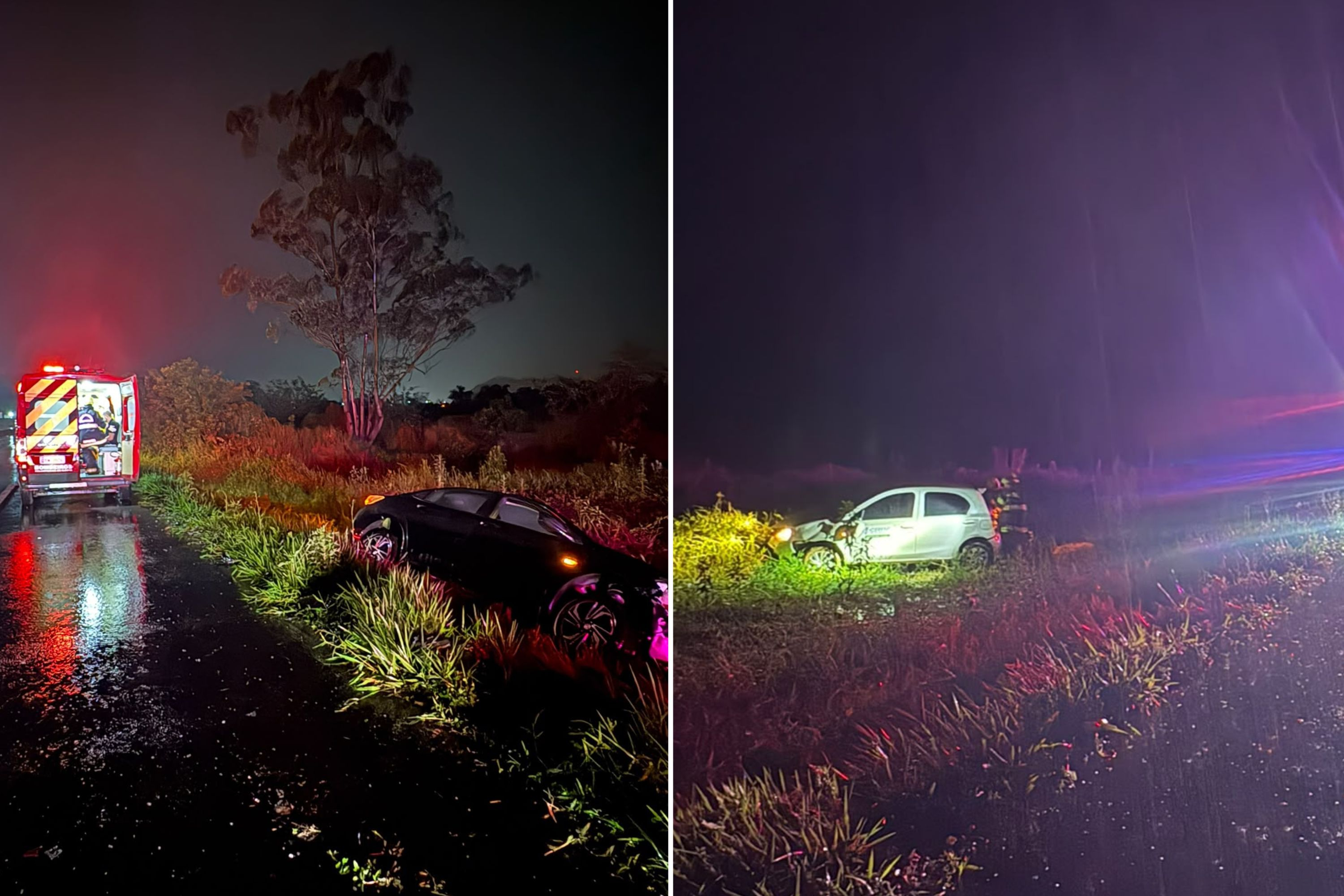 Bezerro atravessa BR e causa acidente entre carros e caminh�o em Ilhota